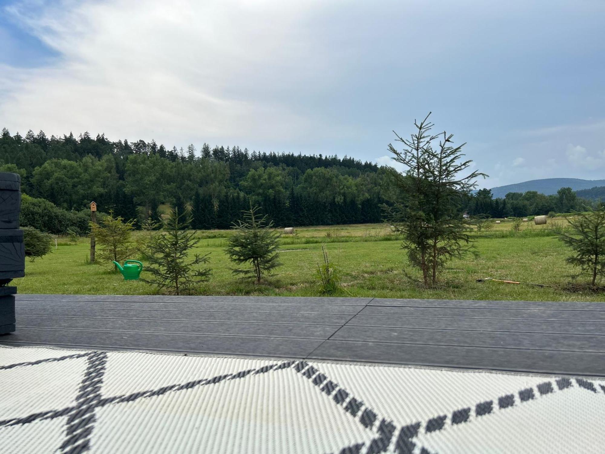 Lesny Park Polanica Apartment